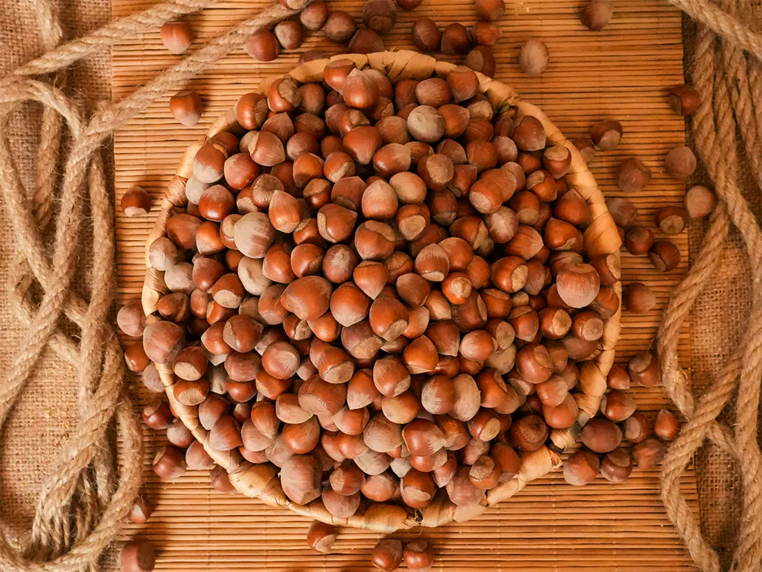 Karadeniz Fındığı